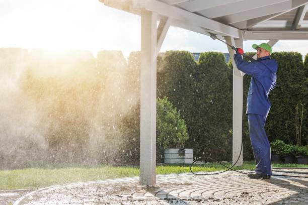 Best Gutter Cleaning  in Cape May Court House, NJ