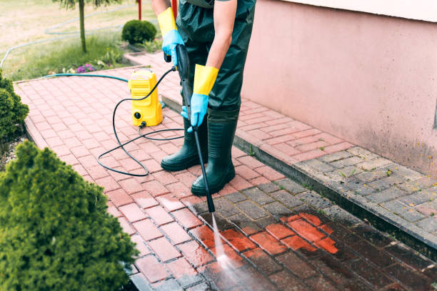 Best Solar Panel Cleaning  in Cape May Court House, NJ